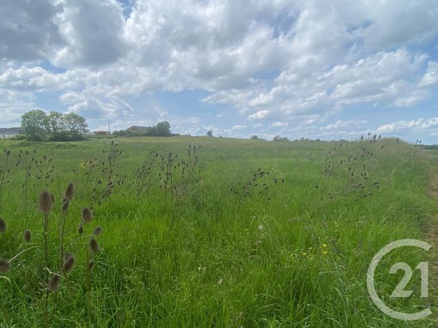 terrain à vendre - 1392.0 m2 - LES PREMIERS SAPINS - 25 - FRANCHE-COMTE - Century 21 Avenir Immobilier