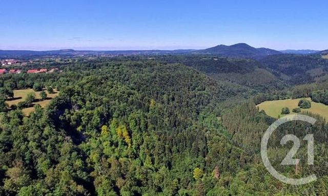 maison à vendre - 1 pièce - 530.0 m2 - PIERREFONTAINE LES VARANS - 25 - FRANCHE-COMTE - Century 21 Avenir Immobilier